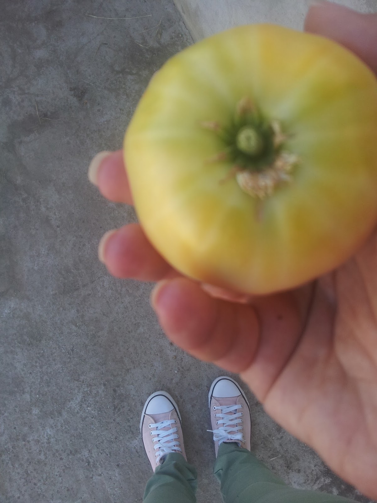 20150902_111155 (1)